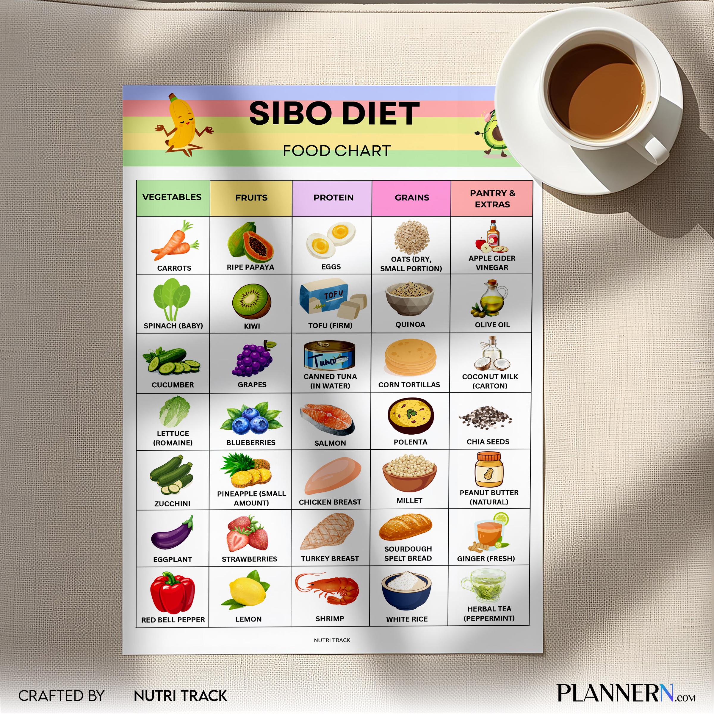 Digestive Diet — SIBO Diet Food Chart Printable, SIBO Food List, Gut Health Diet Food, IBS Friendly Food Ch... | Nutri Track printable