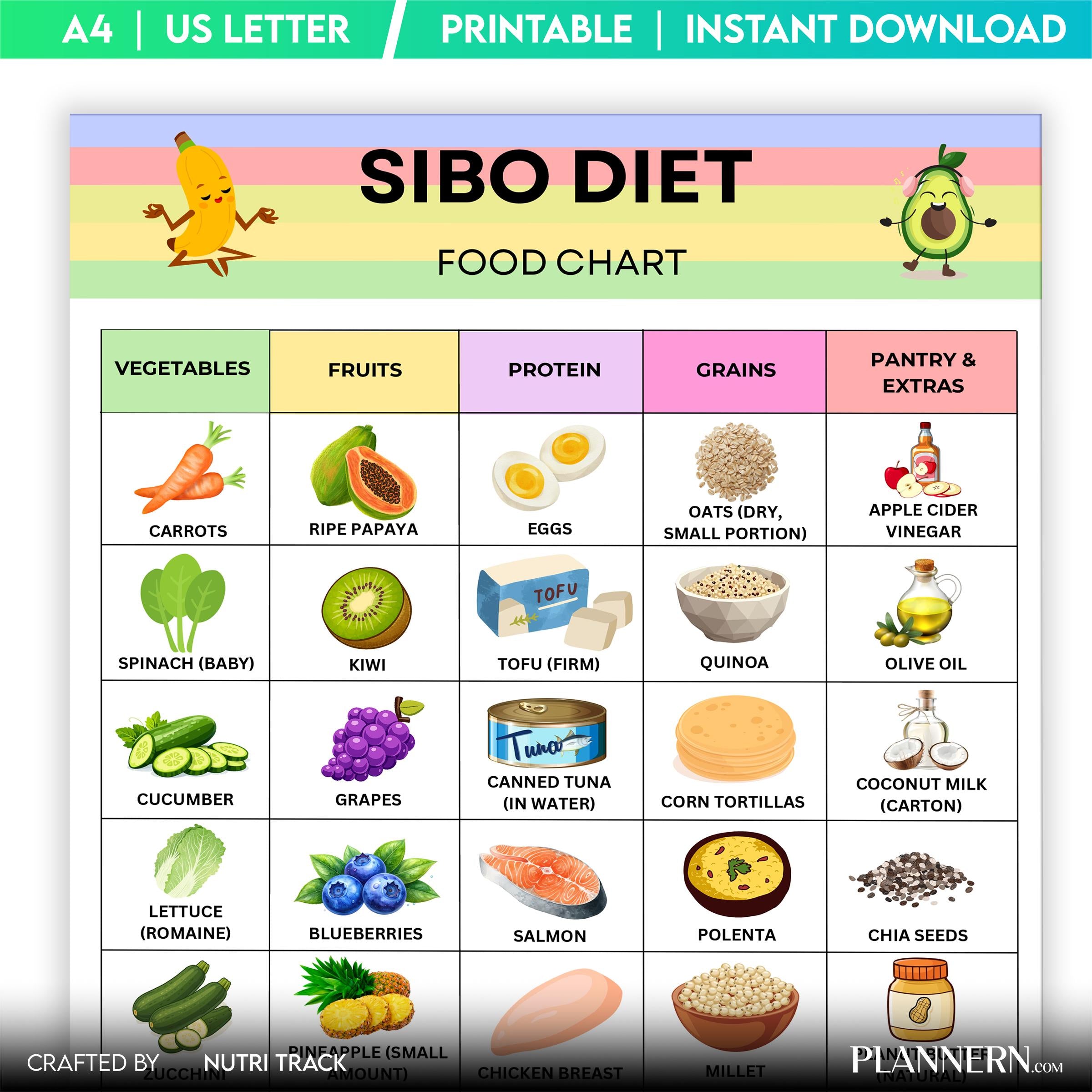 Digestive Diet — SIBO Diet Food Chart Printable, SIBO Food List, Gut Health Diet Food, IBS Friendly Food Ch... | Nutri Track printable