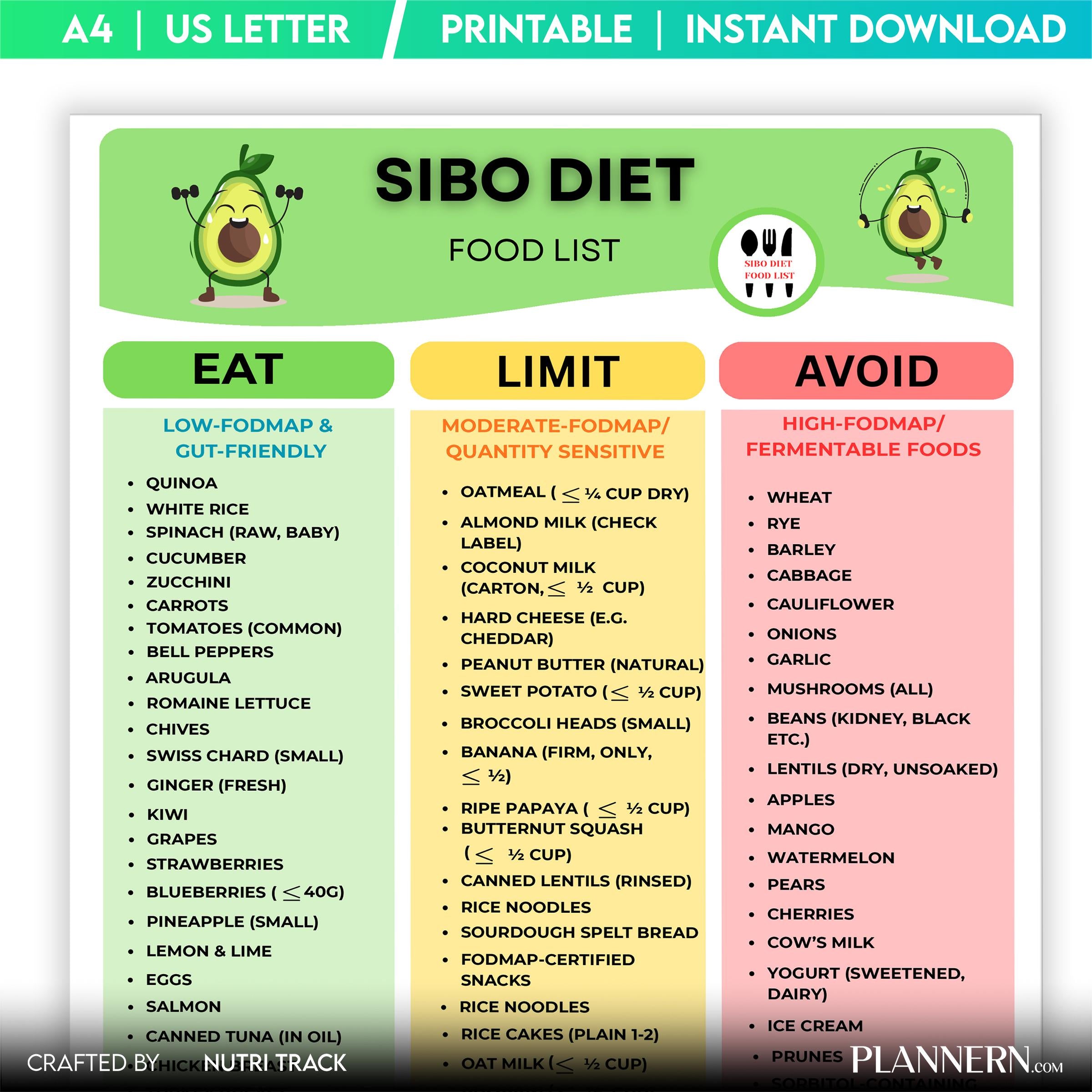 Diet Printable — SIBO Diet Food List Printable, SIBO, Friendly Food Chart, PDF, Fodmap Grocery List, Eat Li... | Nutri Track printable