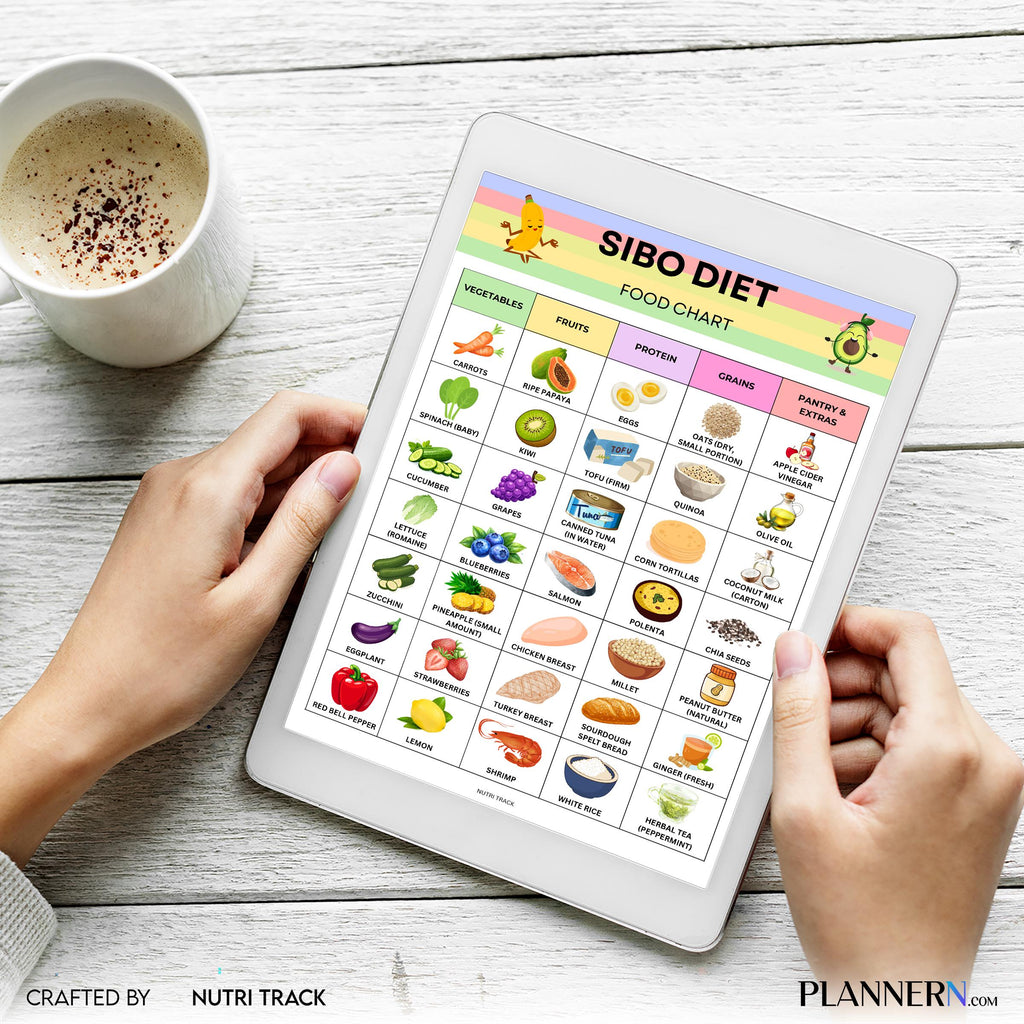 Digestive Diet — SIBO Diet Food Chart Printable, SIBO Food List, Gut Health Diet Food, IBS Friendly Food Ch... | Nutri Track printable