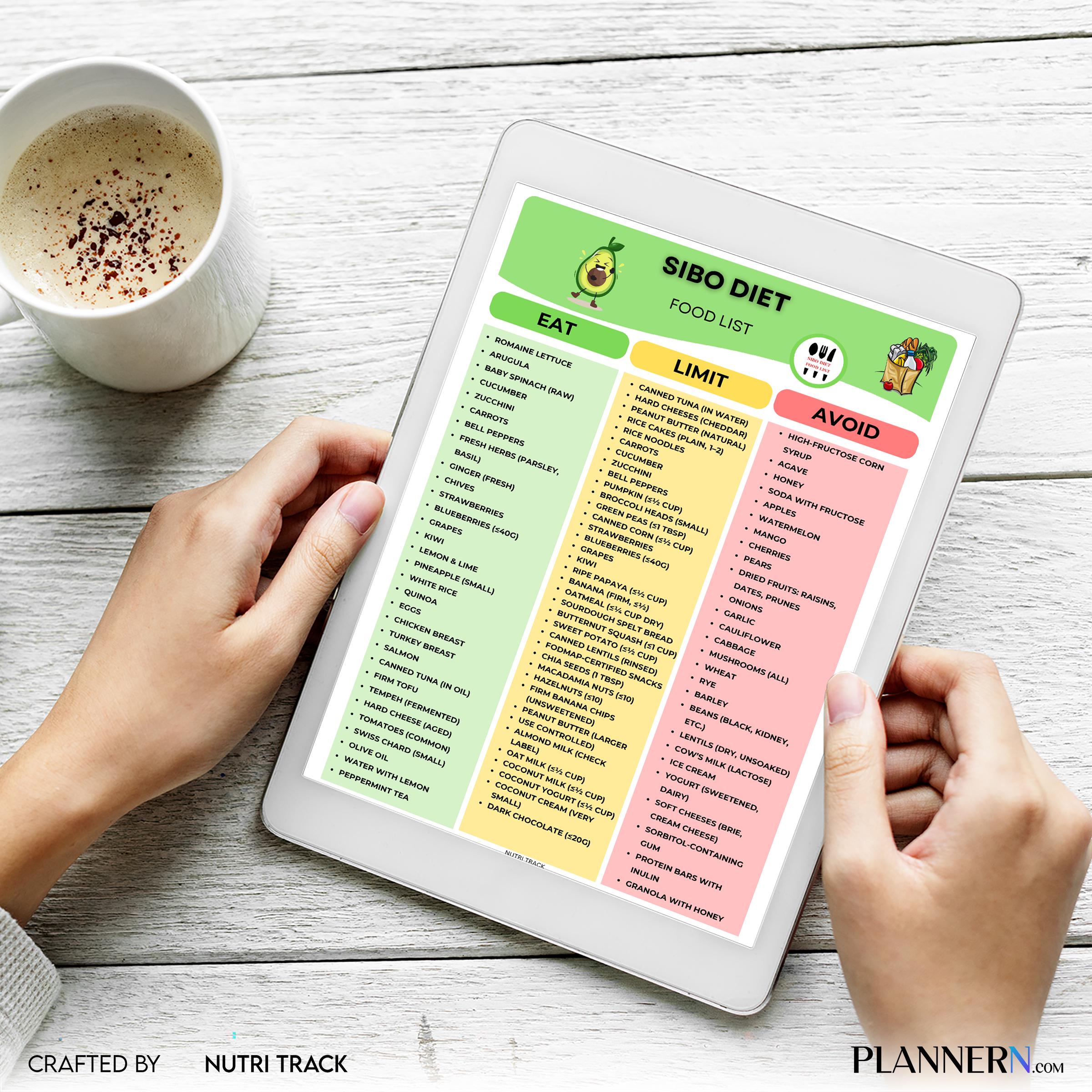 Digestive Diet — SIBO Diet Food List Printable, Gut Health Foods, IBS Friendly Foods Chart, Low Fermentatio... | Nutri Track printable