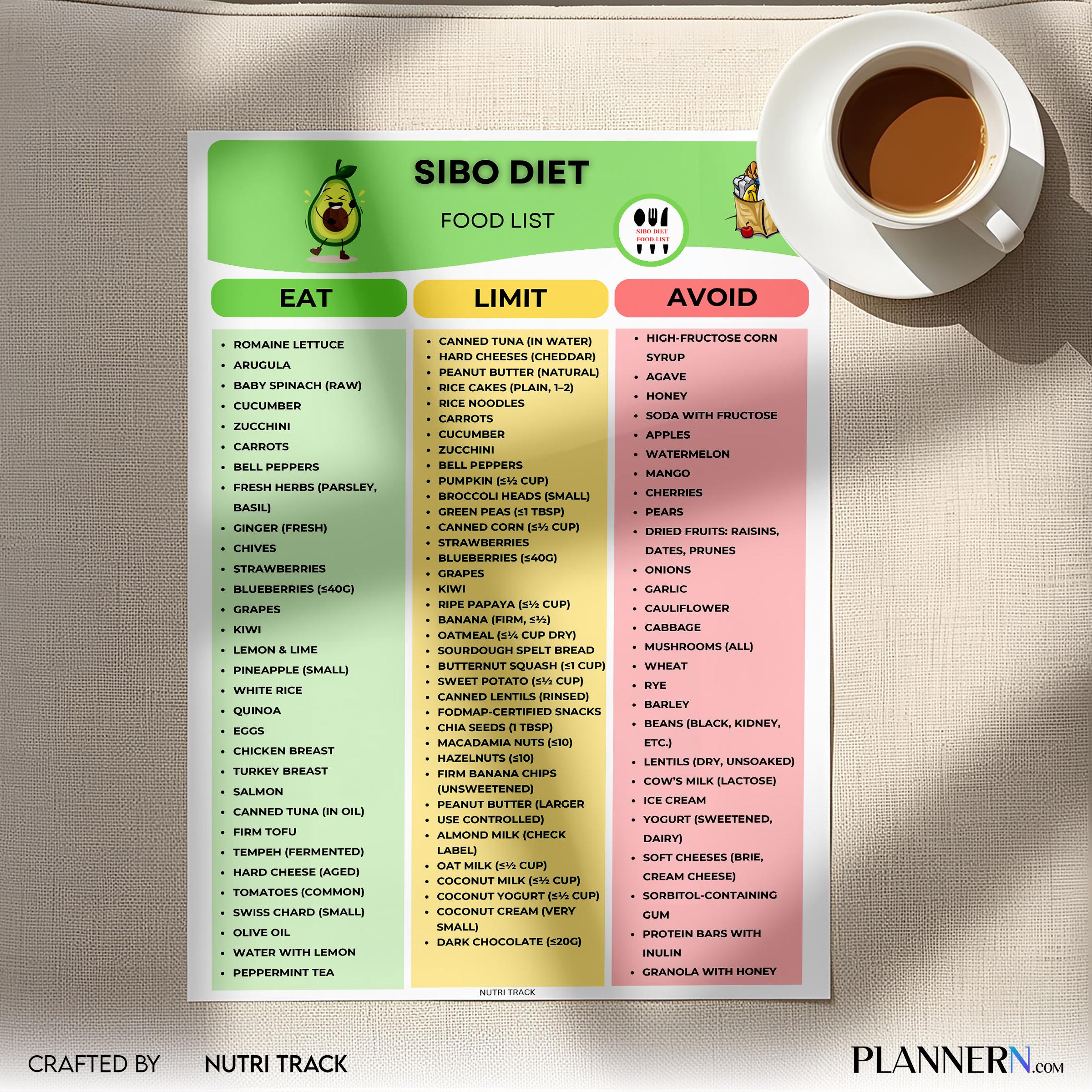 Digestive Diet — SIBO Diet Food List Printable, Gut Health Foods, IBS Friendly Foods Chart, Low Fermentatio... | Nutri Track printable