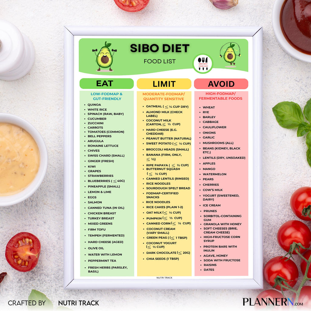 Diet Printable — SIBO Diet Food List Printable, SIBO, Friendly Food Chart, PDF, Fodmap Grocery List, Eat Li... | Nutri Track printable
