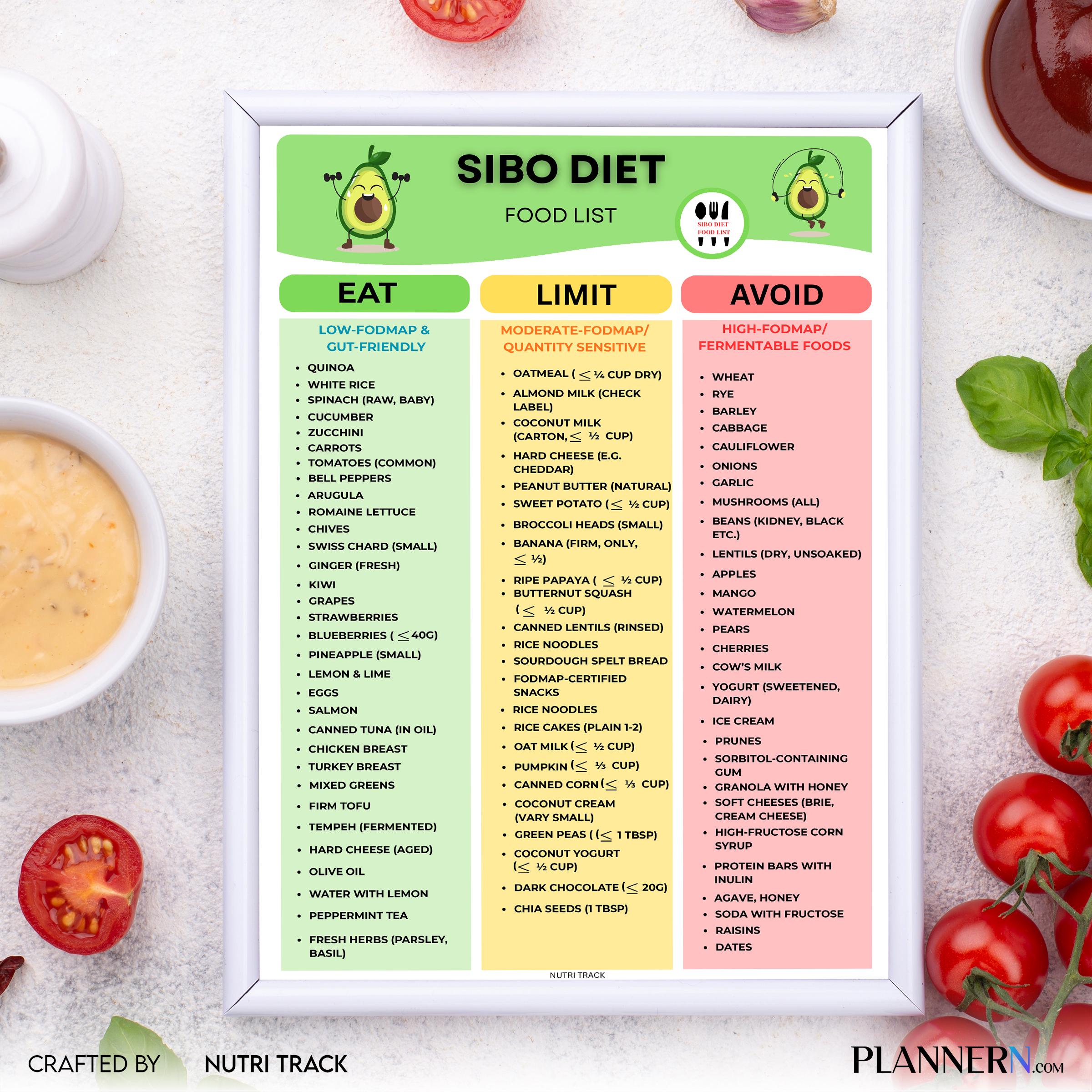 Diet Printable — SIBO Diet Food List Printable, SIBO, Friendly Food Chart, PDF, Fodmap Grocery List, Eat Li... | Nutri Track printable
