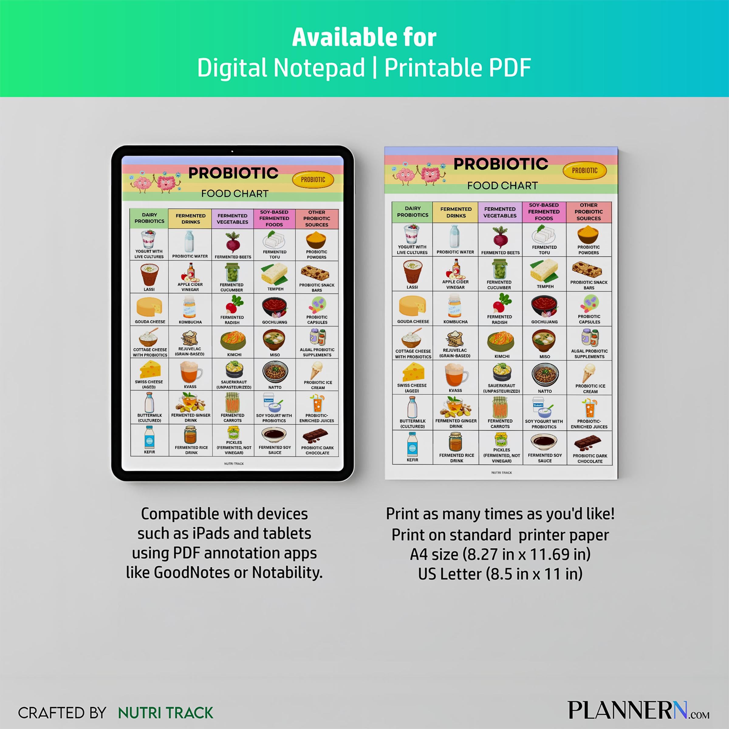 Digestive Health — Probiotic Food List Printable, Gut Health Food Chart, Fermented Foods Guide, Digestive W... | Nutri Track printable
