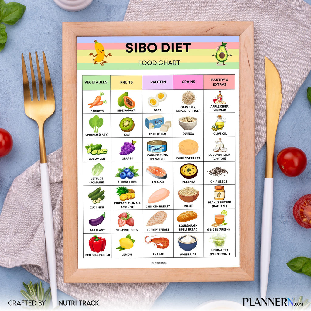 Digestive Diet — SIBO Diet Food Chart Printable, SIBO Food List, Gut Health Diet Food, IBS Friendly Food Ch... | Nutri Track printable