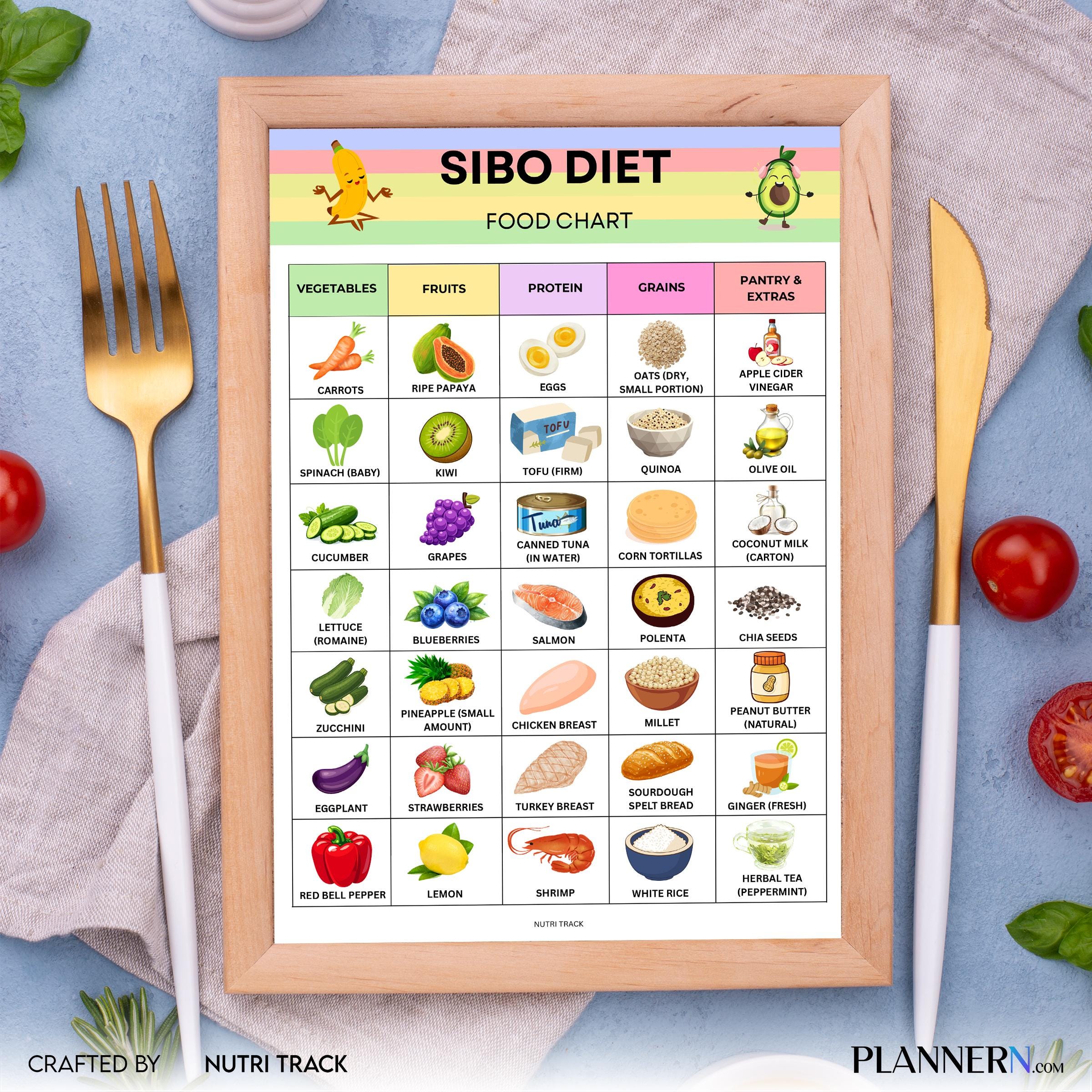 Digestive Diet — SIBO Diet Food Chart Printable, SIBO Food List, Gut Health Diet Food, IBS Friendly Food Ch... | Nutri Track printable