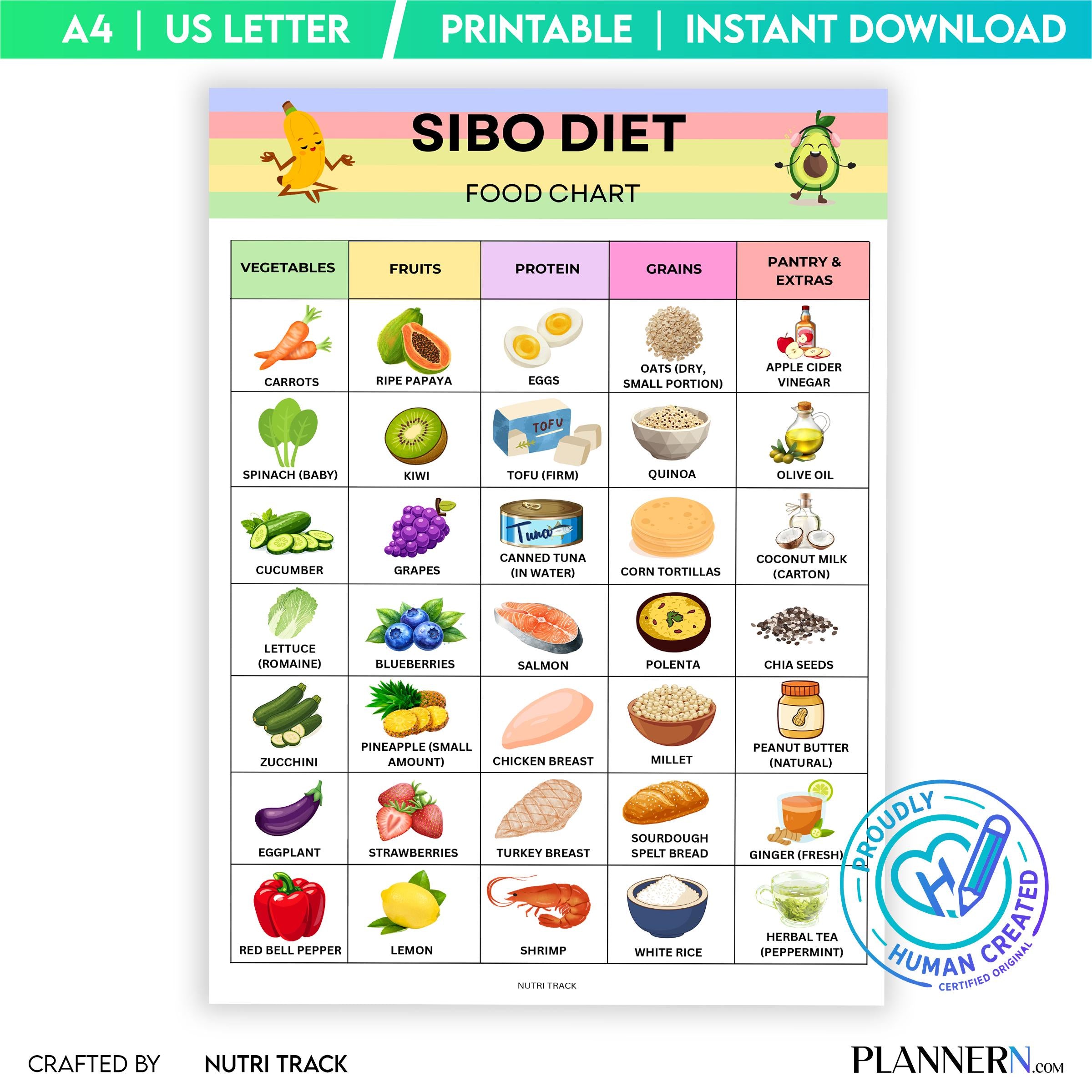 Digestive Diet — SIBO Diet Food Chart Printable, SIBO Food List, Gut Health Diet Food, IBS Friendly Food Ch... | Nutri Track printable