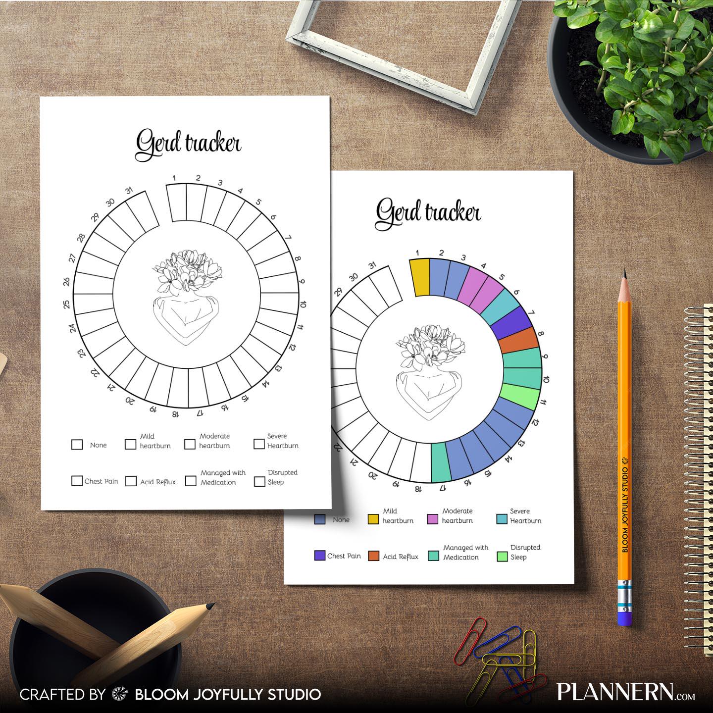 Acid Reflux Log — GERD Symptom Tracker Printable, Acid Reflux Tracker, Heartburn Tracker, GERD Health Track... | Bloom Joyfully printable