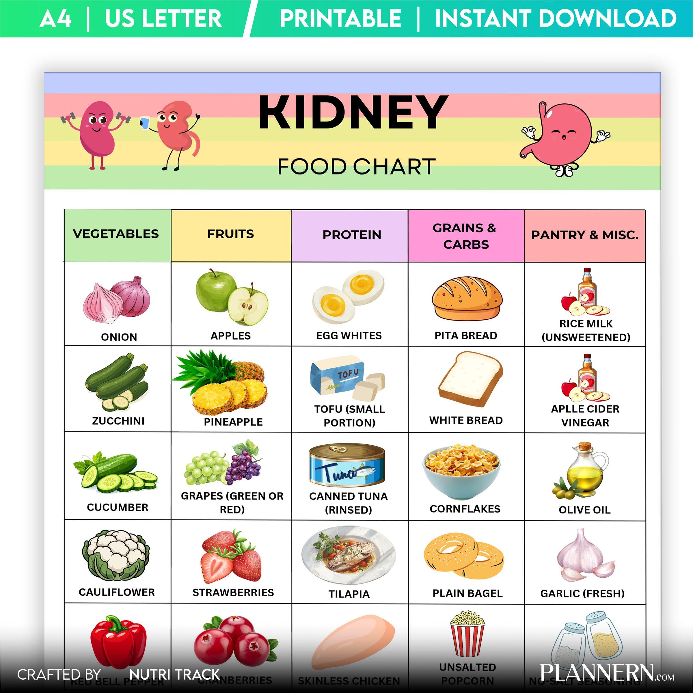 Kidney Food Chart Printable, Kidney Friendly Foods List, Renal Diet Food Guide, Low Sodium, Low Potassium F... | Nutri Track printable